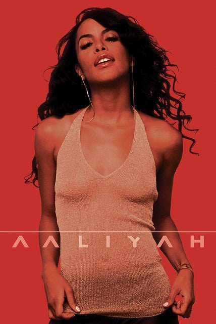 Aaliyah Tribute Canvas Art - Soulful Vibes for Music Lovers (24x36) - BuyPosters.com