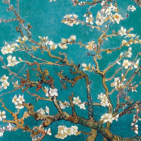 Almond Blossom by Van Gogh (12x12) - BuyPosters.com